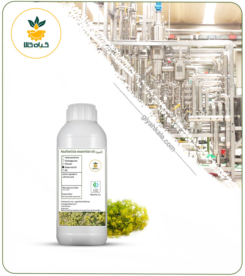 Asafoetida Essential Oil