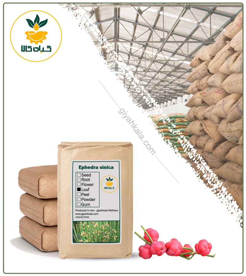 Bulk Dried Salep Root