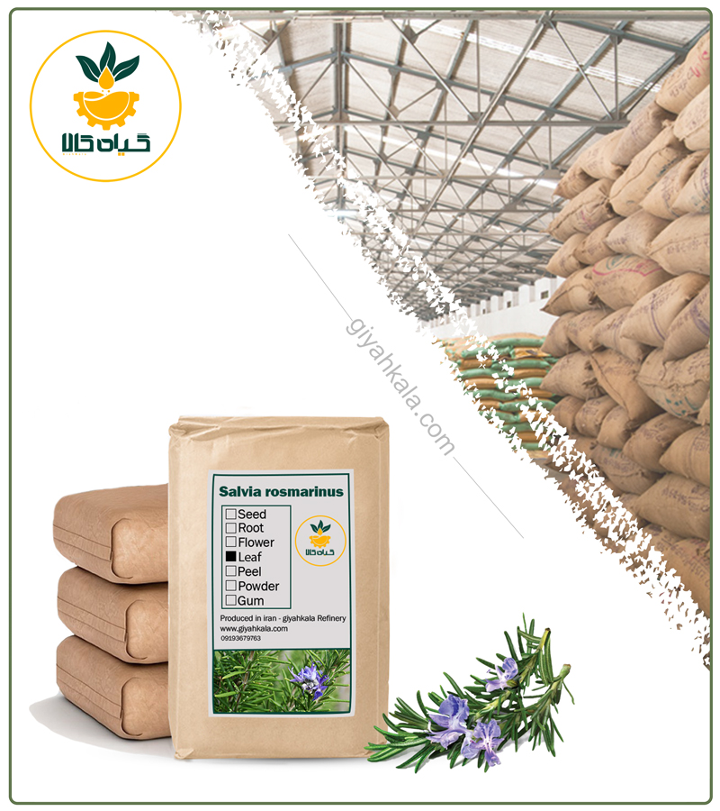 Bulk Dried Rosemary Plant