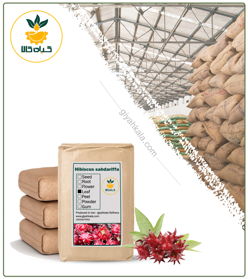 Bulk Dried Sour Tea Plant