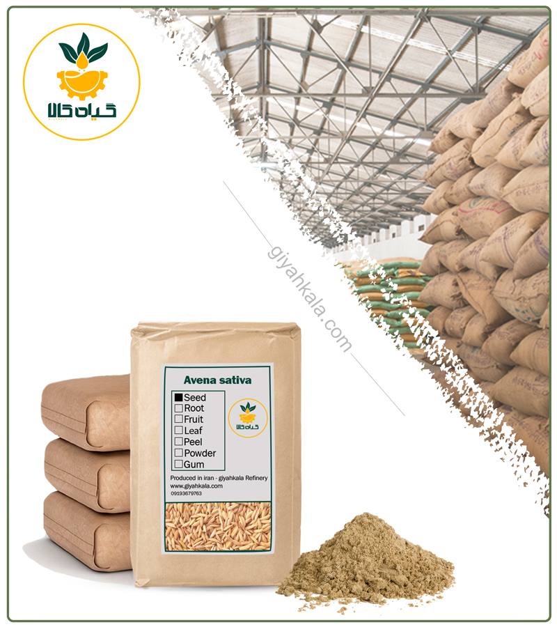 Bulk Oat Seeds Powder