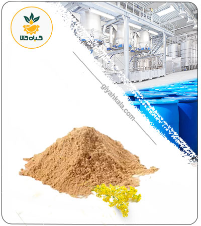 Galbanum Extract Dried or Powder