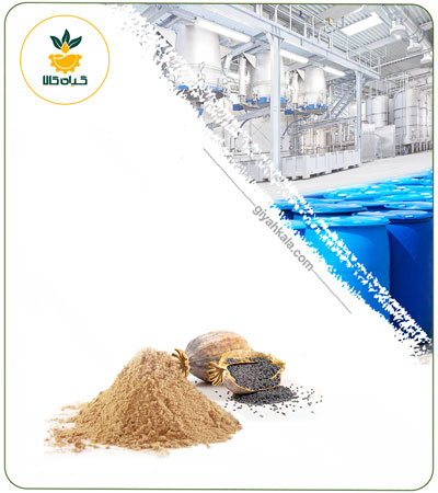 Poppy Seed Dried or Powder Extract