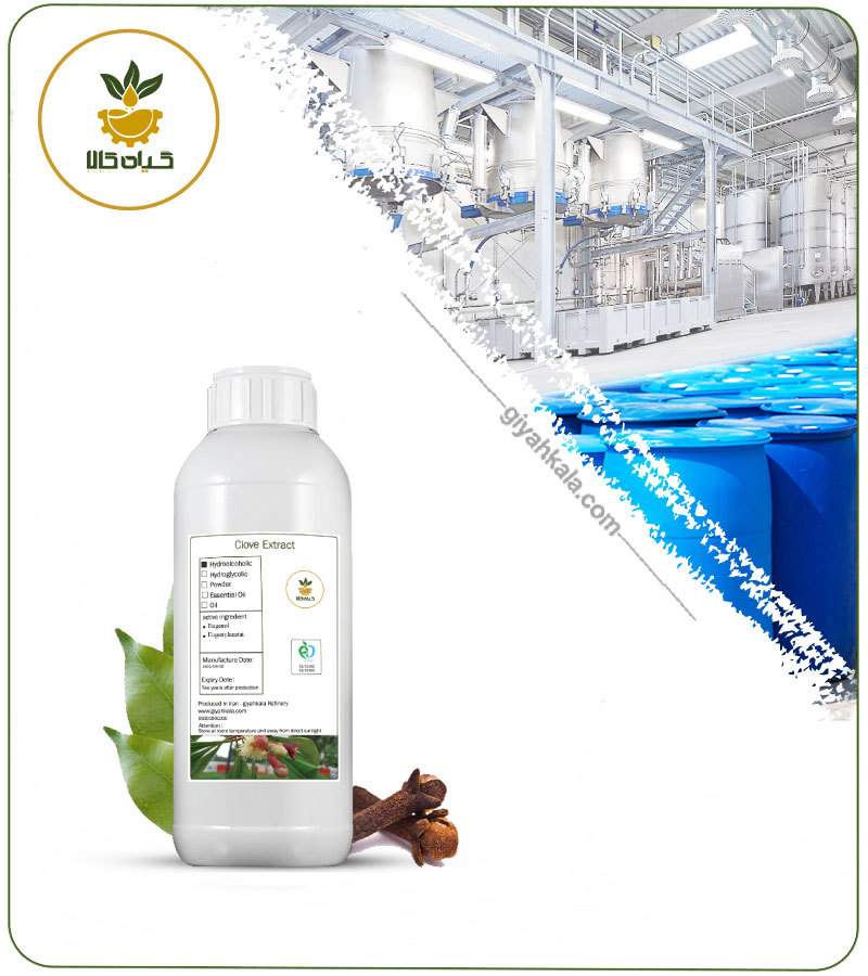 Clove Liquid Extract