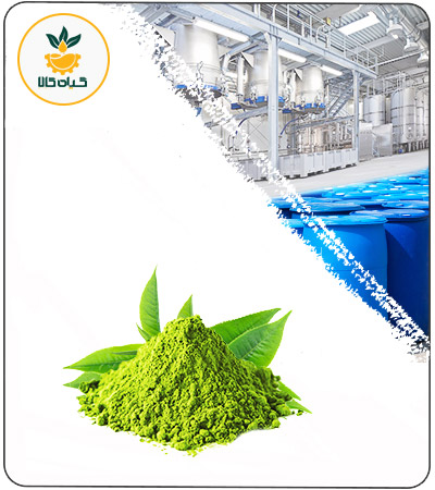 Green Tea Extract Dried or Powder