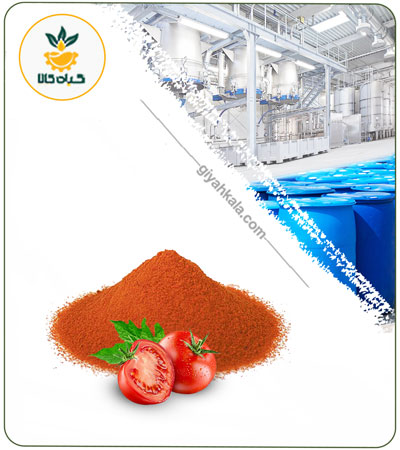 Tomato Powder Extract