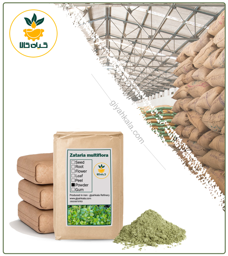 Bulk Shirazi Thyme Powder