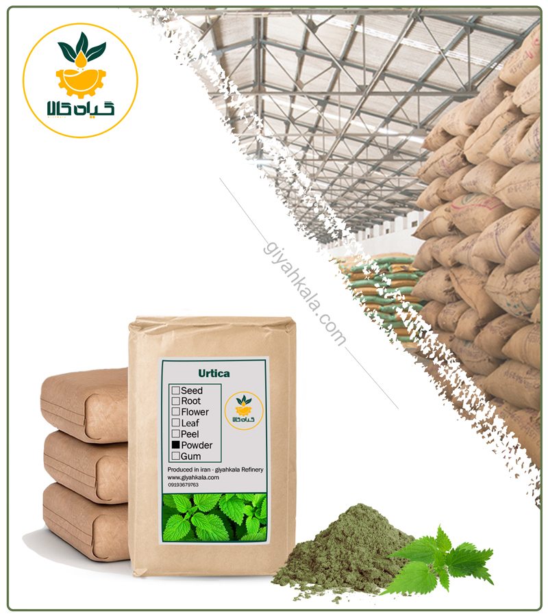 Bulk Nettle Powder