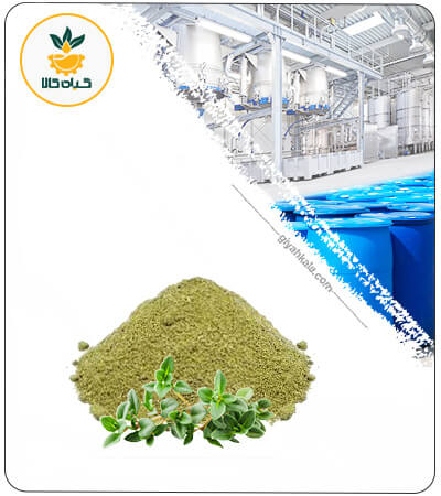 Shirazi Thyme Powder Extract