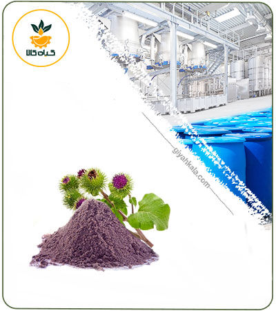Burdock Powder Extract