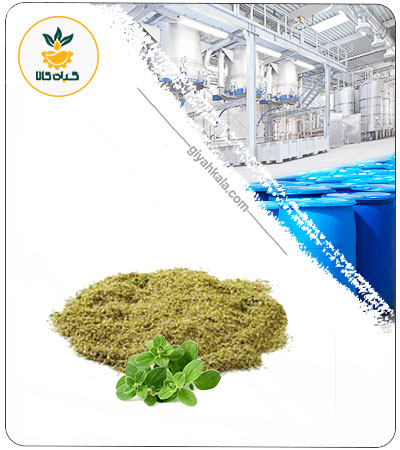 Marjoram Powder Extract