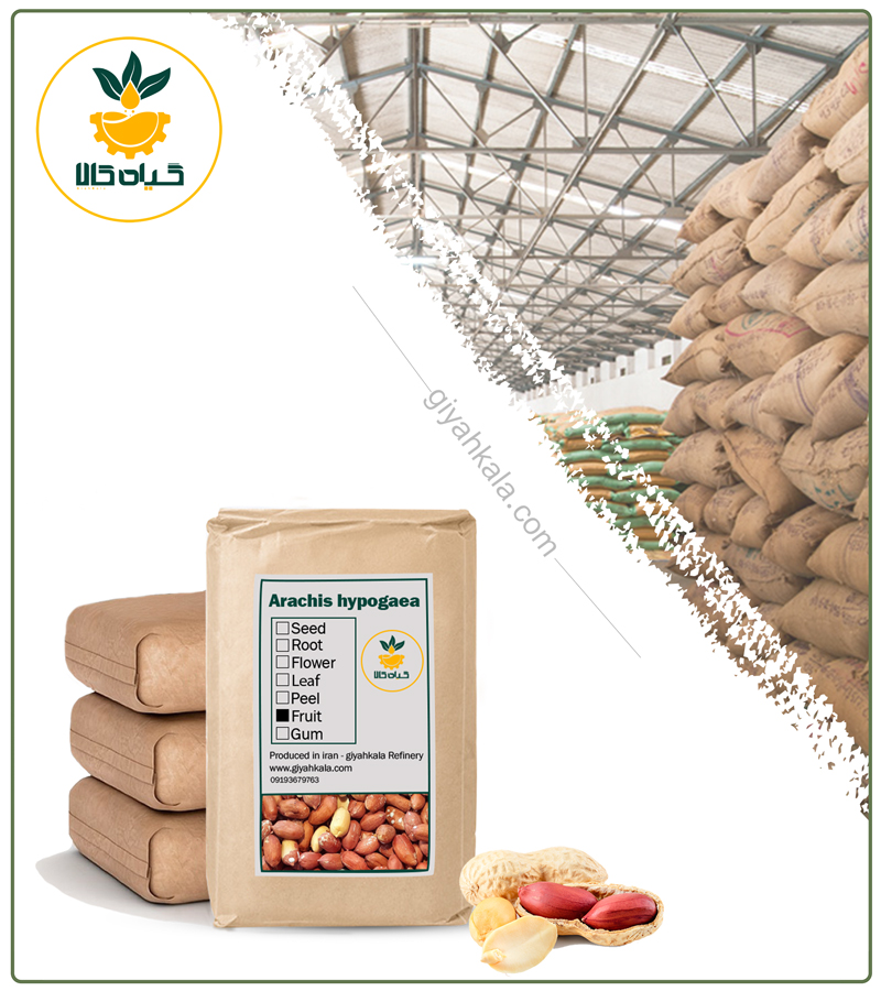 Bulk Dried Peanut Kernel