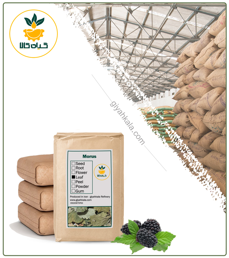 BulK Dried Black Mulberry Leaf