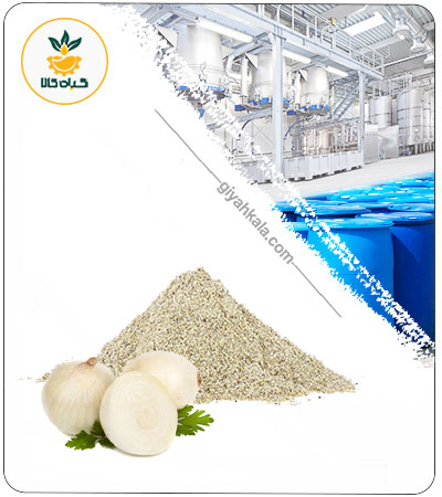 White Onion Powder Extract