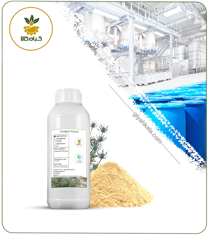 Sea Holly Liquid Extract