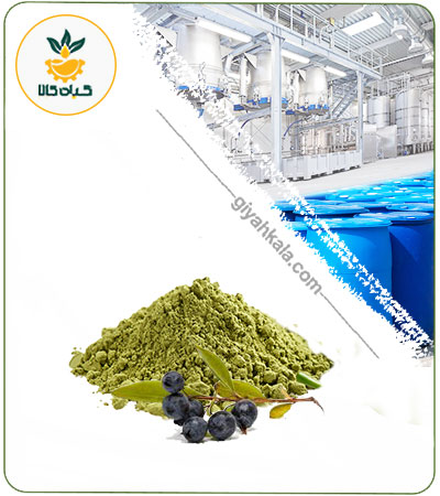 Myrtle Powder Extract