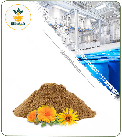 Arnica Powder Extract