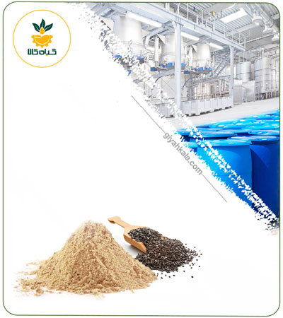 Basil Seed Powder Extract