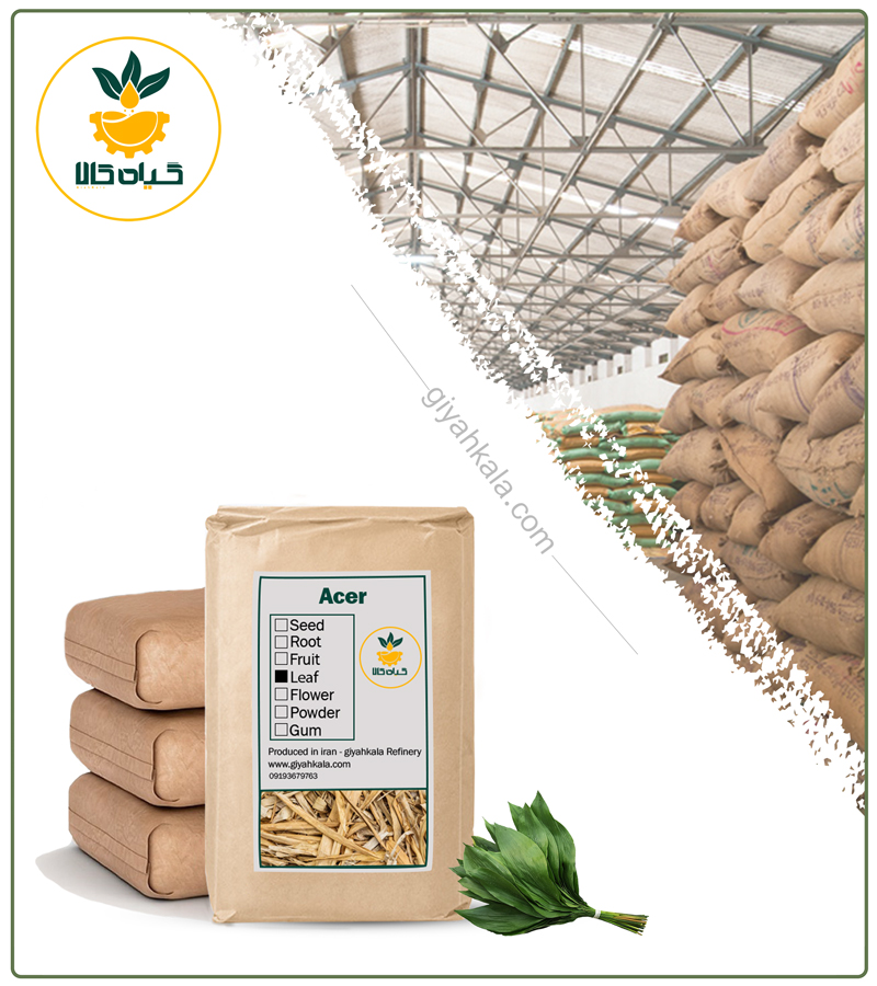 Bulk Dried Bamboo Leaf