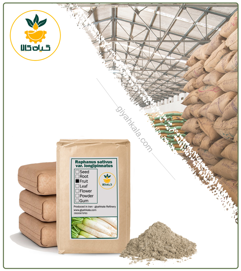 Bulk Wild Parsnip (Pastinaca Sativa) Powder