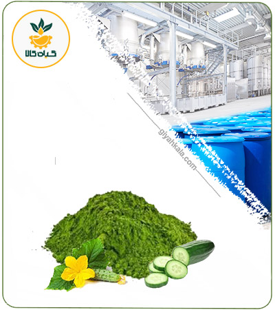 Cucumber Powder Extract