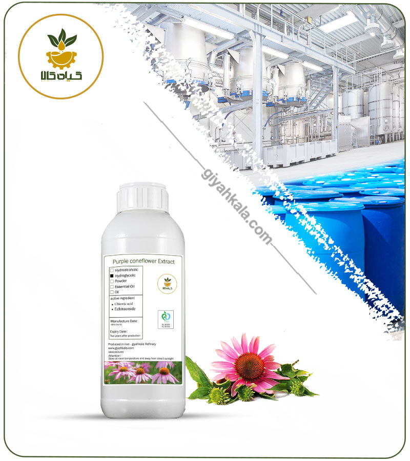 Echinacea (Coneflower) Liquid Extract