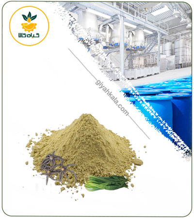 Eremurus Persicus Powder Extract