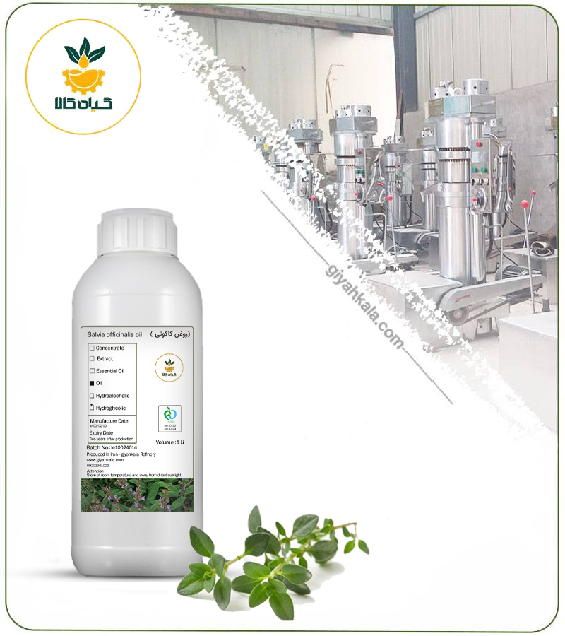 Kakouty (Ziziphora) Oil