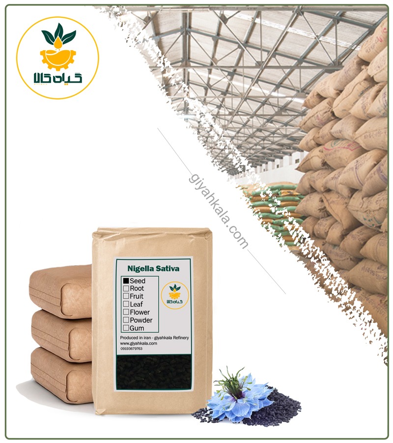 Bulk Dried Black Seed (Nigella Sativa)