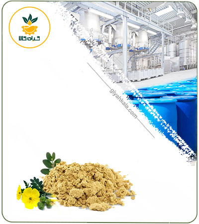 Bindii (Tribulus Terrestris) Powder Extract