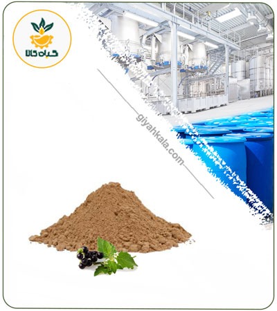Black Nightshade Powder Extract