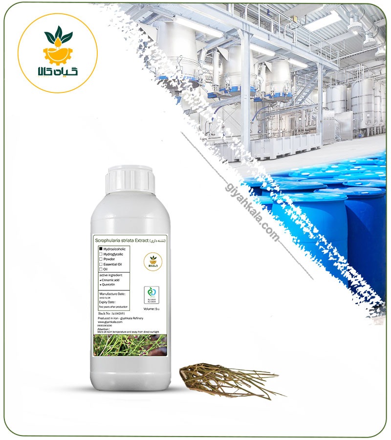 Scrophularia Striata Liquid Extract