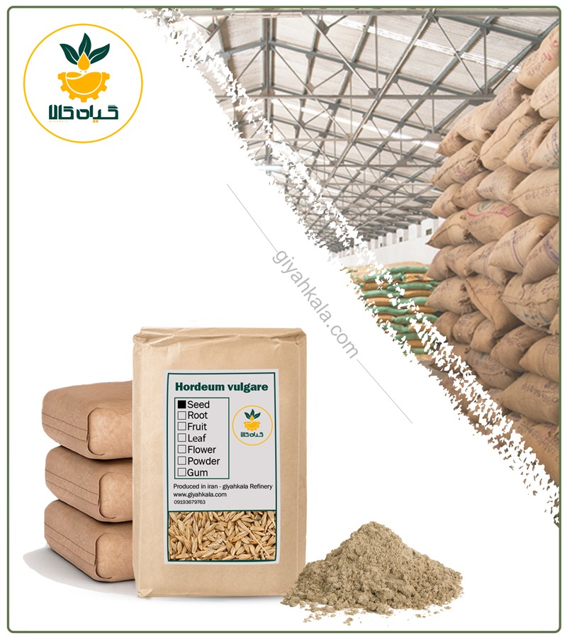 Bulk Hulled Barley Powder
