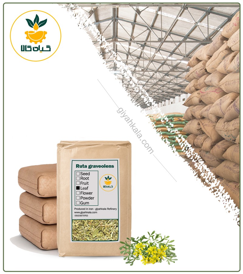 Bulk Dried Rue (Ruta Graveolens)