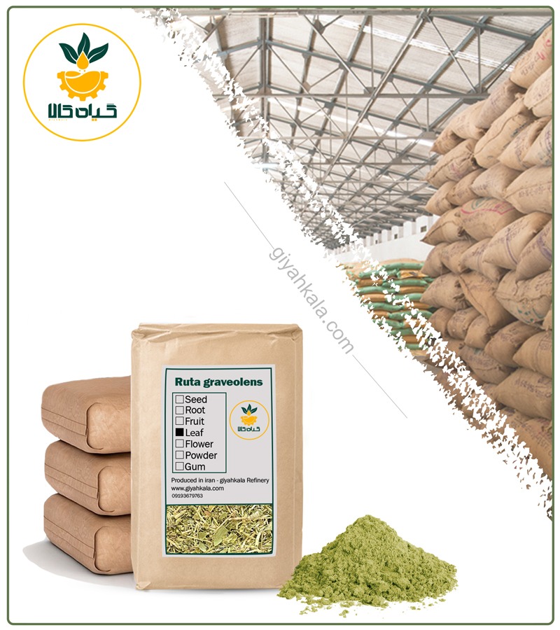 Bulk Rue (Ruta Graveolens) Powder