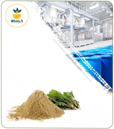 Garden Cress Powder Extract