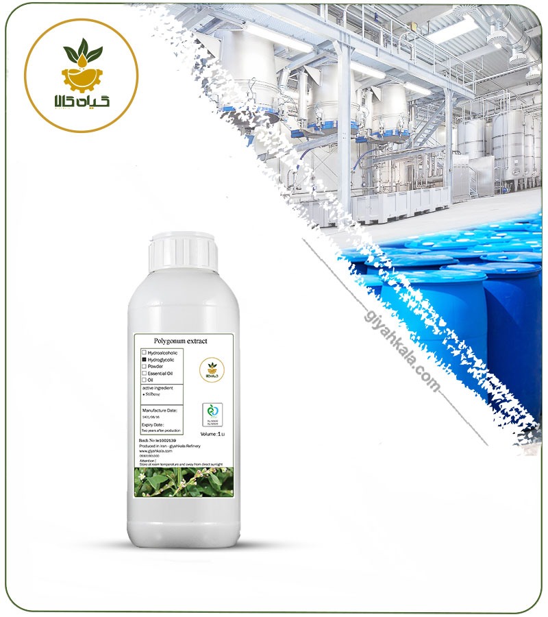 Knotweed (Polygonum) Liquid Extact