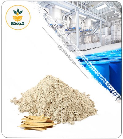 Astragalus Root Powder Extract