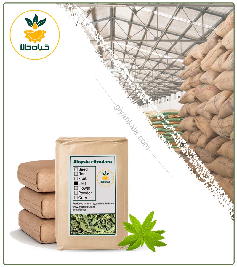 Bulk Dried Lemon Beebrush