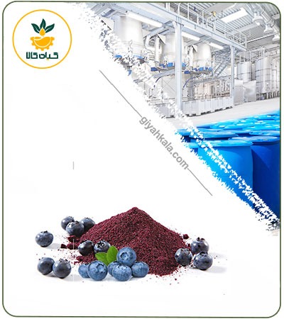 Blueberry Powder Extract