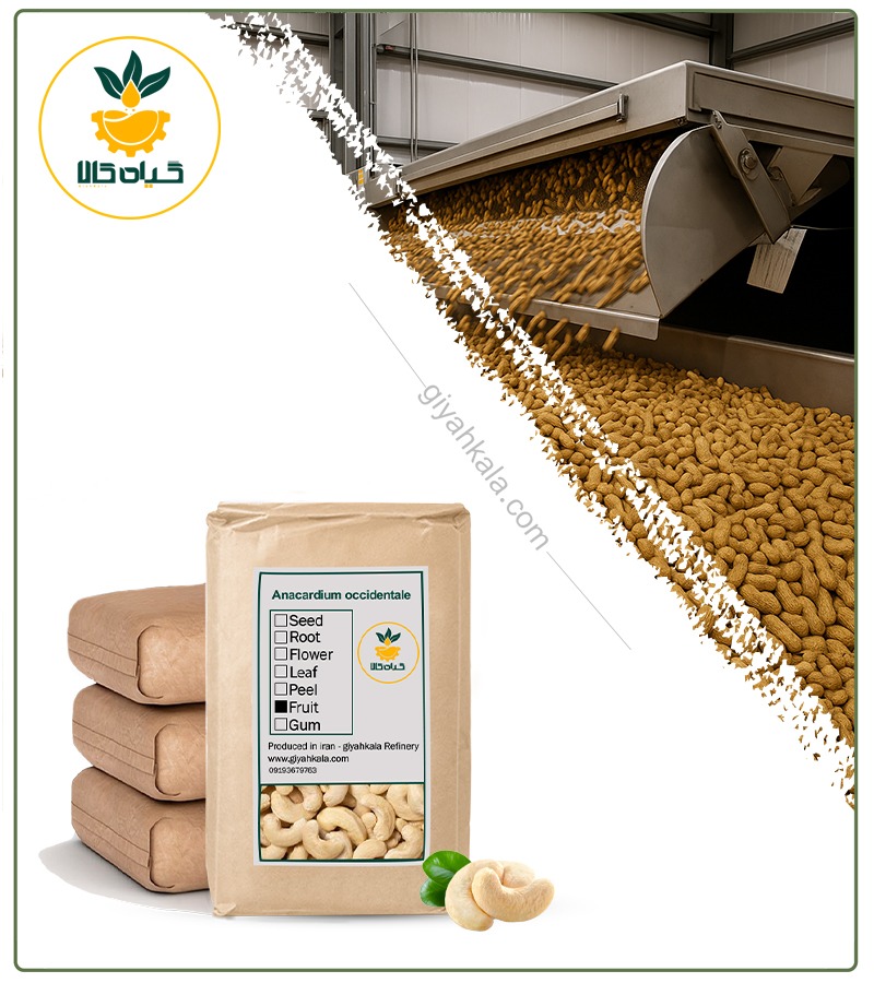 Bulk Dried Raw Cashew