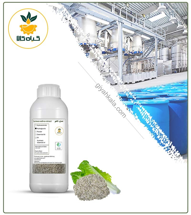 Lettuce Seed Liquid Extract