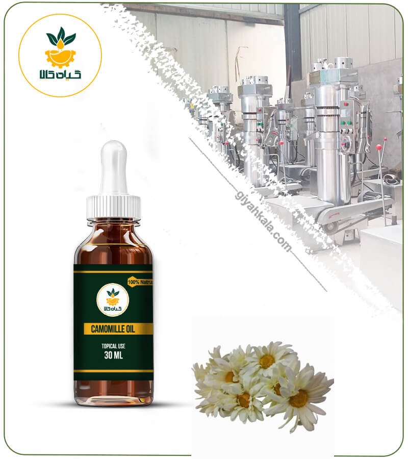 Chamomile Topical Oil