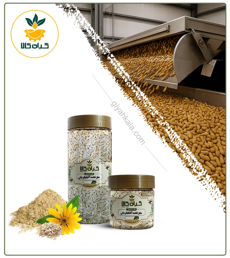 Packaged Raw Sunflower Seed Kernel