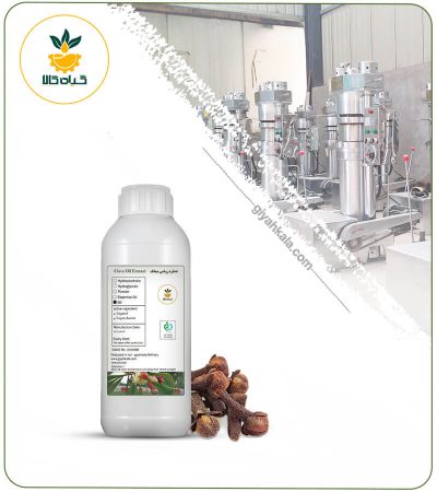 Clove Oil