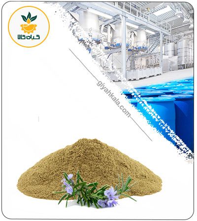 Dried or Powder Rosemary Extract