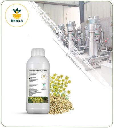 Fennel Oil (Oil-based)