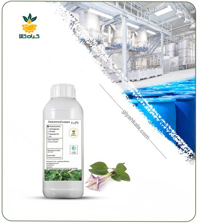 Jimsonweed (Datura Stramonium) Liquid Extract