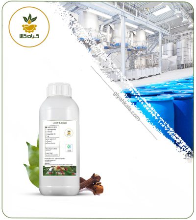Clove Liquid Extract