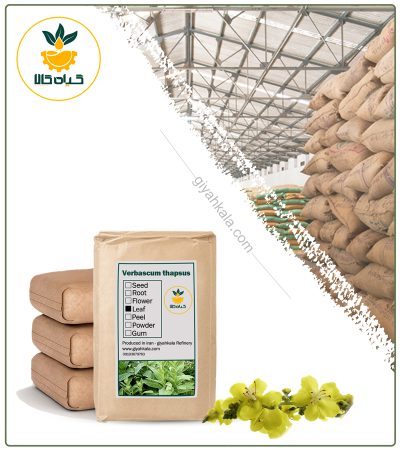 Bulk Dried Mullein Leaf